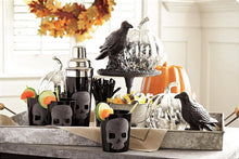 Load image into Gallery viewer, Pottery Barn Black Skull Old-Fashioned Glasses - Set of 6