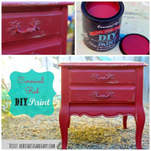 Load image into Gallery viewer, Carnival Red / DIY Paint
