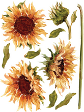 Load image into Gallery viewer, Painterly Florals Transfer 12×16 PAD™ / IOD