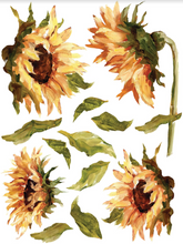 Load image into Gallery viewer, Painterly Florals Transfer 12×16 PAD™ / IOD