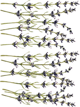 Load image into Gallery viewer, Painterly Florals Transfer 12×16 PAD™ / IOD