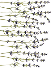 Load image into Gallery viewer, Painterly Florals Transfer 12×16 PAD™ / IOD