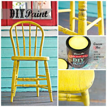 Load image into Gallery viewer, Queen Bee / DIY Paint