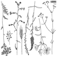 Load image into Gallery viewer, Sprigs / IOD Decor Stamps 12" x 12"
