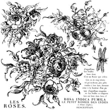 Load image into Gallery viewer, Rose Toile 12&quot; x 12&quot; Decor Stamps / IOD
