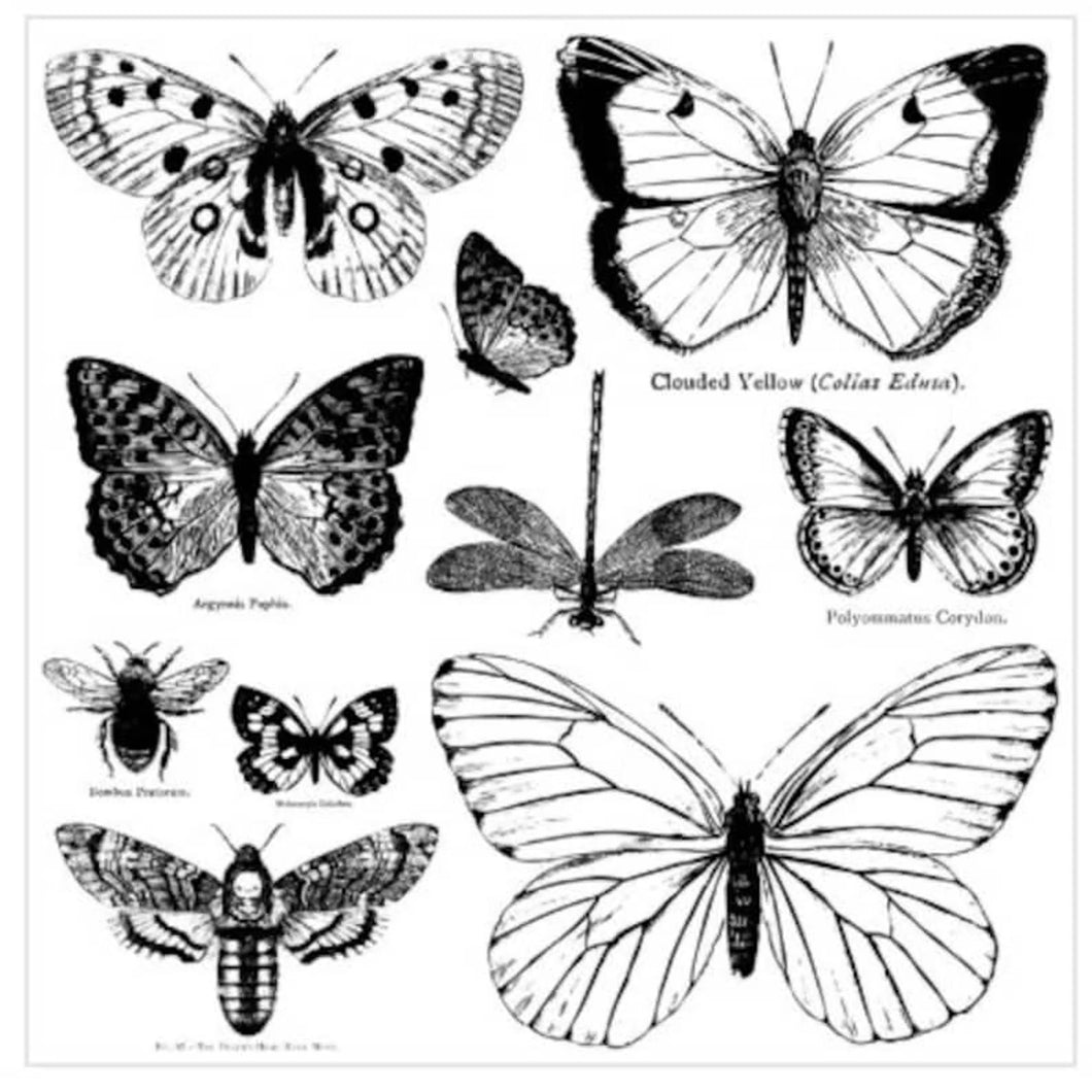 Butterflies 12 x 12 Decor Stamps / IOD