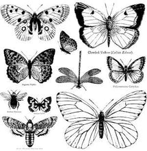 Load image into Gallery viewer, Butterflies / IOD Decor Stamps 12" x 12"
