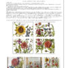 Load image into Gallery viewer, Botanist&#39;s Journal Transfer 12×16 PAD™ / IOD
