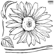 Load image into Gallery viewer, Sunflowers 12&quot; x 12&quot; Decor Stamps / IOD
