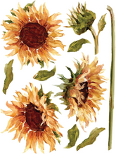 Load image into Gallery viewer, Painterly Florals Transfer 12×16 PAD™ / IOD
