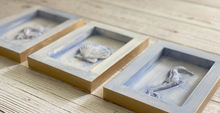 Load image into Gallery viewer, Sea Shells 6&quot; x 10&quot; Decor Mould / IOD
