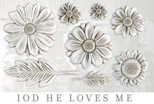 Load image into Gallery viewer, He Loves Me 6&quot; x 10&quot; Decor Mould / IOD
